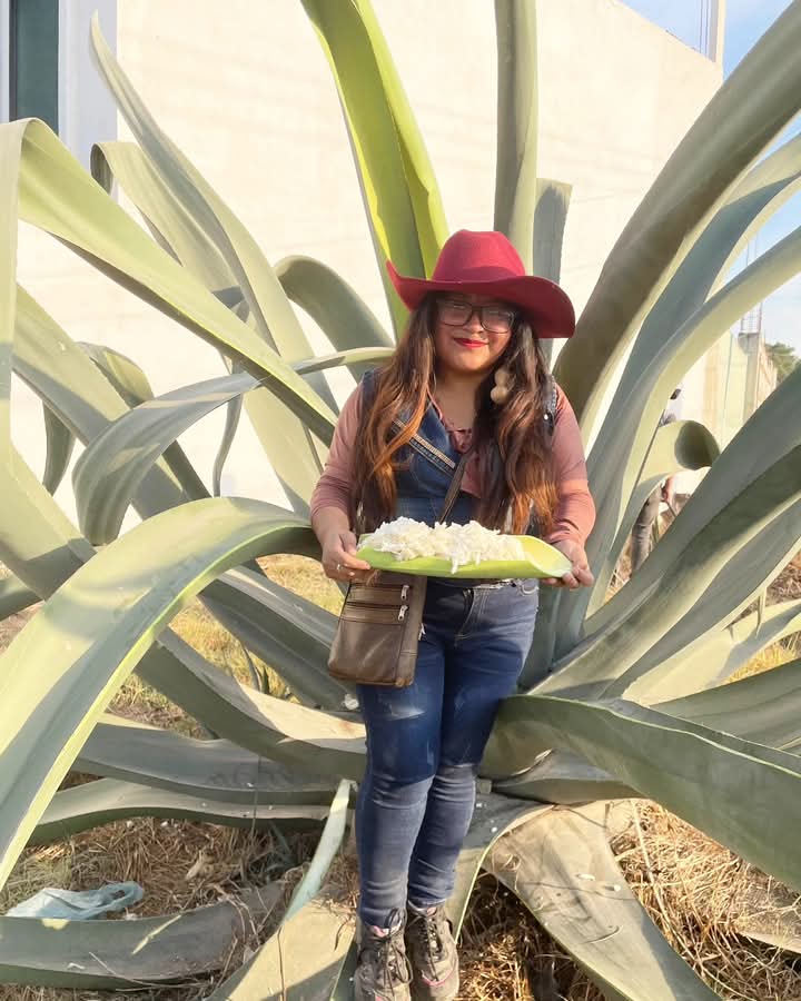 ReynaXochipaMo's tweet photo. Este Domingo de Resurrección, #Dios bendice, vean la delicia que se obtiene del proceso de #capado, #huevodemaguey 🥚 🌵 para unos exquisitos mixiotes o guisado 🍲 que resucitan a cualquiera 🤤.
#domingoderesurrección
#capadomaguey
#octli
#pascuaderesurreccion
#Méxicoprofundo https://t.co/6ZdUZUCArN