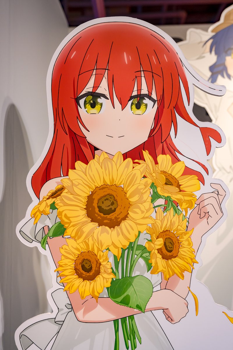 ひまわり tweet media