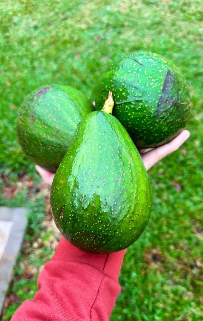 ChefPacoAlmeida's tweet photo. Los únicos huevos de Pascua que me interesan. https://t.co/zsiJZenXu3
