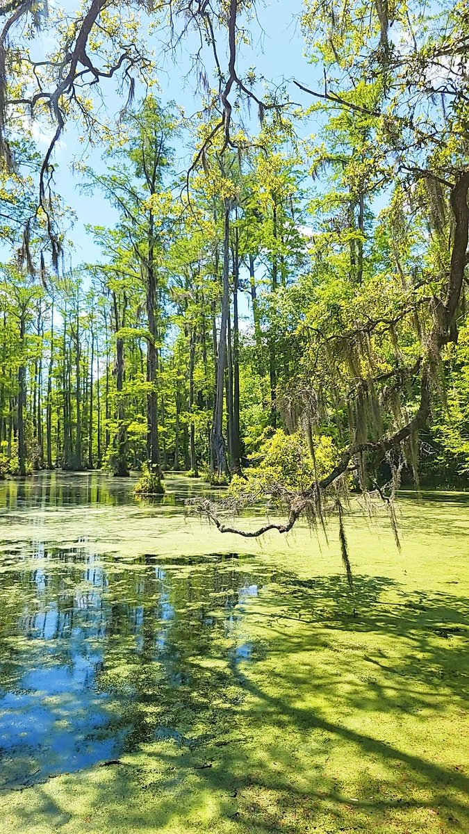 Pauly Espinoza tweet media