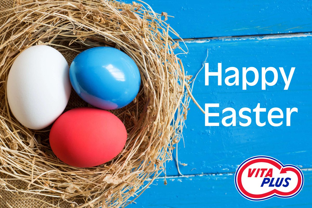 Vita Plus tweet media