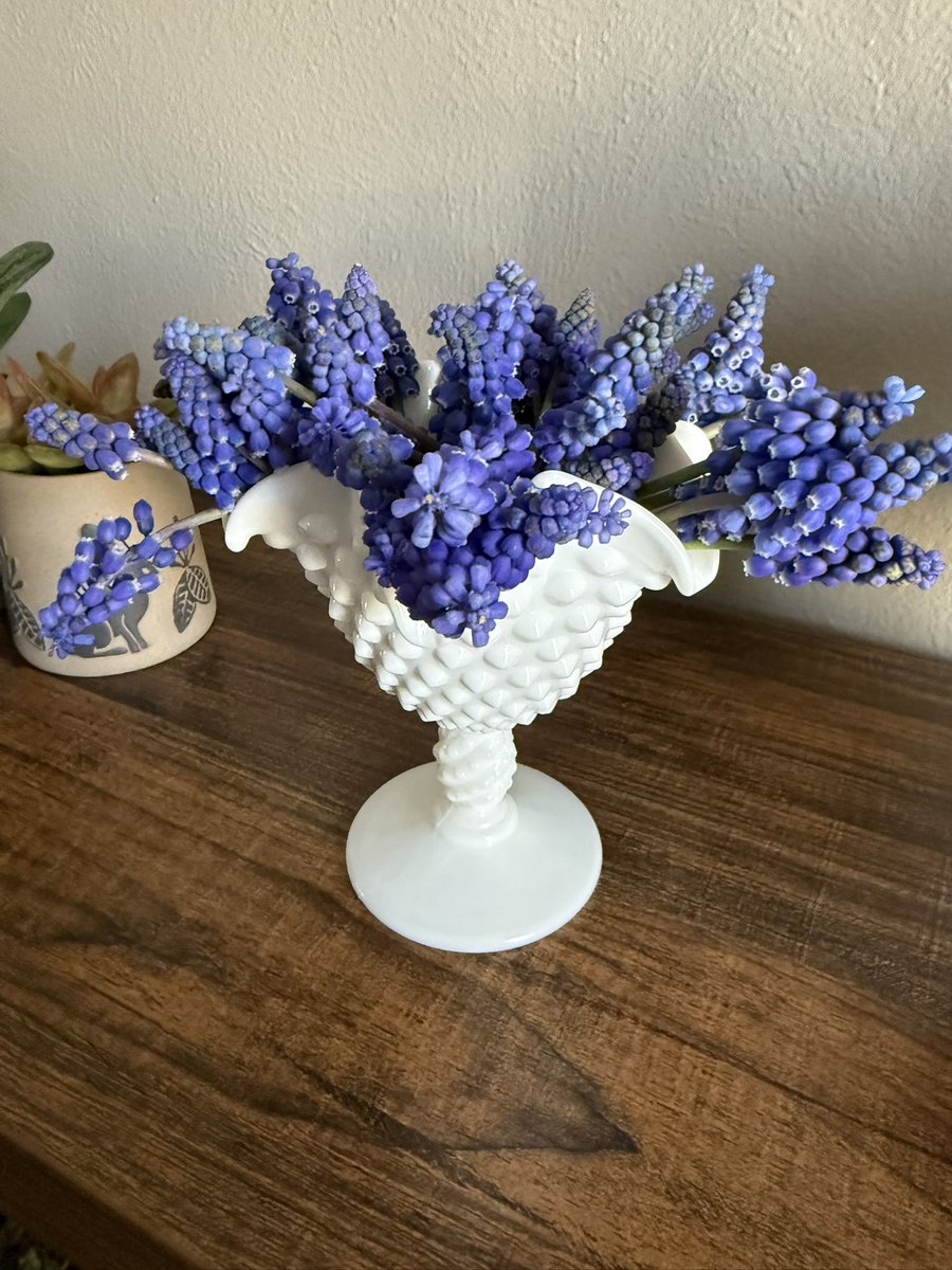 I picked these for you.