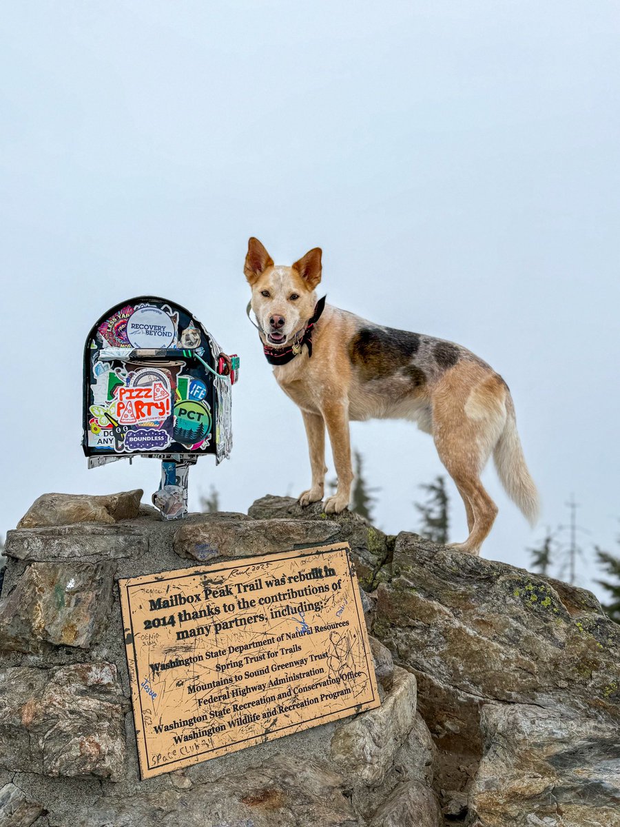 > wake up
> bag 4k ft of vert
> home for lunch