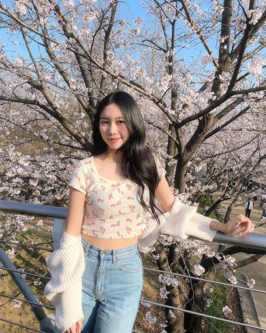 songsofjane's tweet photo. we feel like perpetual spring. https://t.co/EgWqJlv4sU