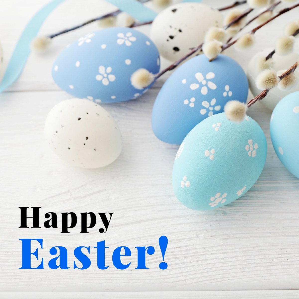 MainMFGWM's tweet photo. 🐣 Wishing you a season of renewal, joy, and prosperity. Happy Easter from your Main Financial Group family! 

#HappyEaster #MainFinancialGroup https://t.co/LO2PYwVvvR