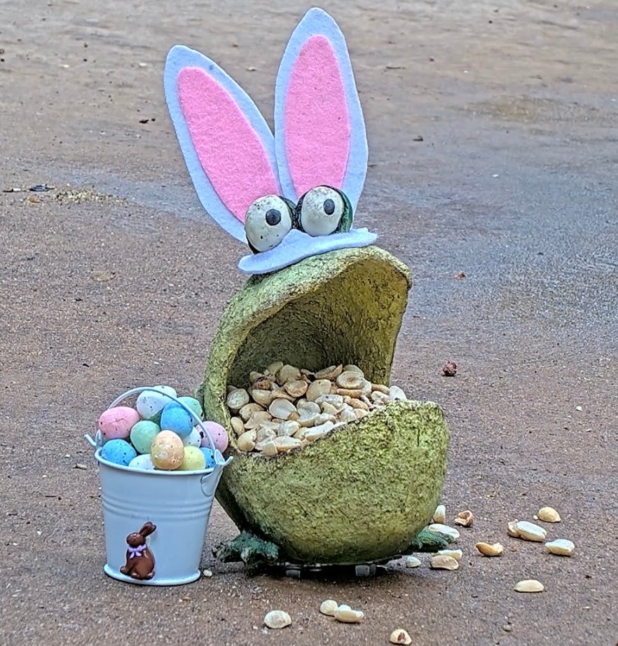 Hoppy Easter to all! Gary the Easter Frog! 🐸🐇🥚#crittervision #garythefrog #Easter2025