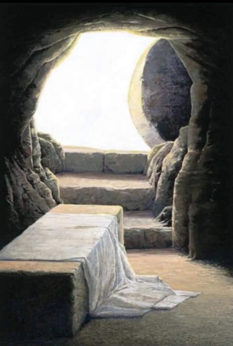 youtu.be/tS4Mo9oy0yQ?si…