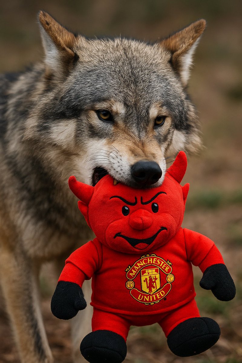 Wolverson94's tweet photo. @Wolves https://t.co/u57xaY5WEL