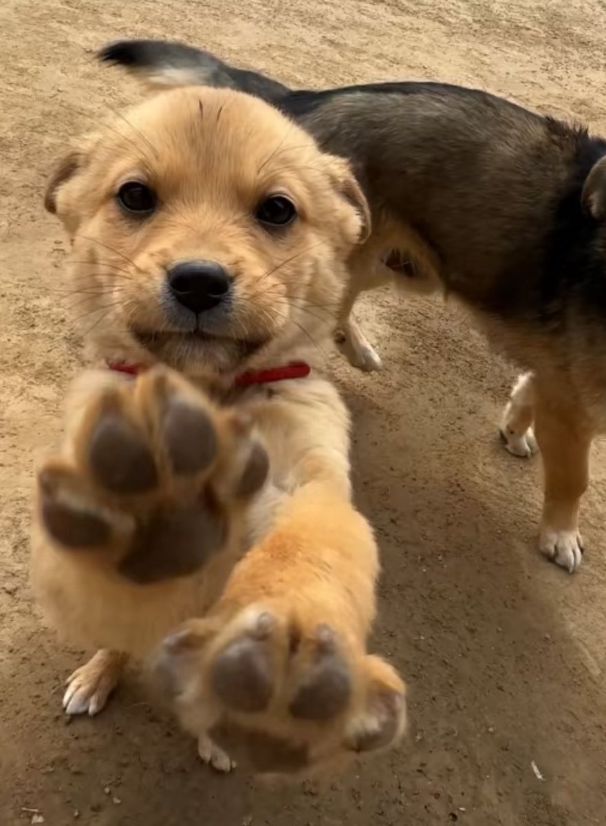 twaniimals's tweet photo. https://t.co/wbpS2hiJ1u