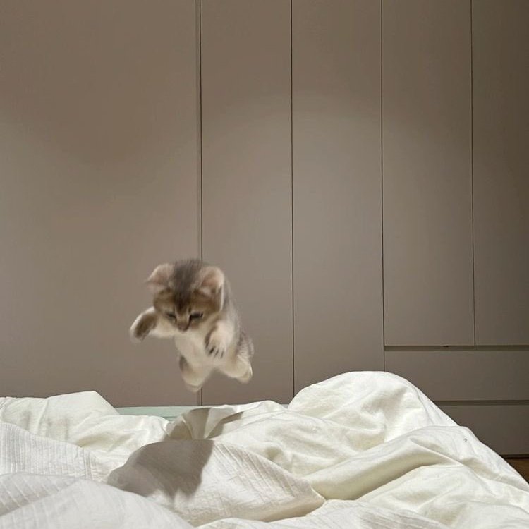 من وقتی از سر کار میام و میرسم به تختم‌ :)))))))