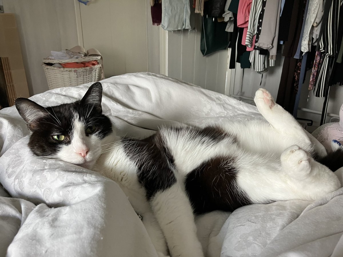 Emma | 🦋📝 tweet media