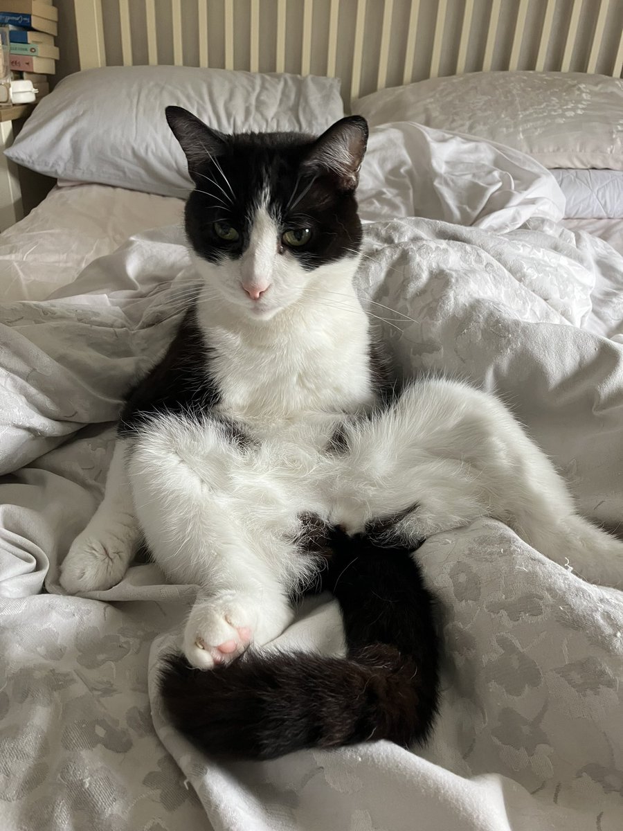 Emma | 🦋📝 tweet media