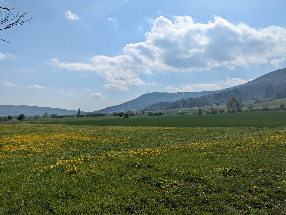 qmarwa_'s tweet photo. #FWMCMORNING Today Easter I went on a hike in Deister, Germany! was a very sunny fresh day :3 https://t.co/kIASqzrKhY