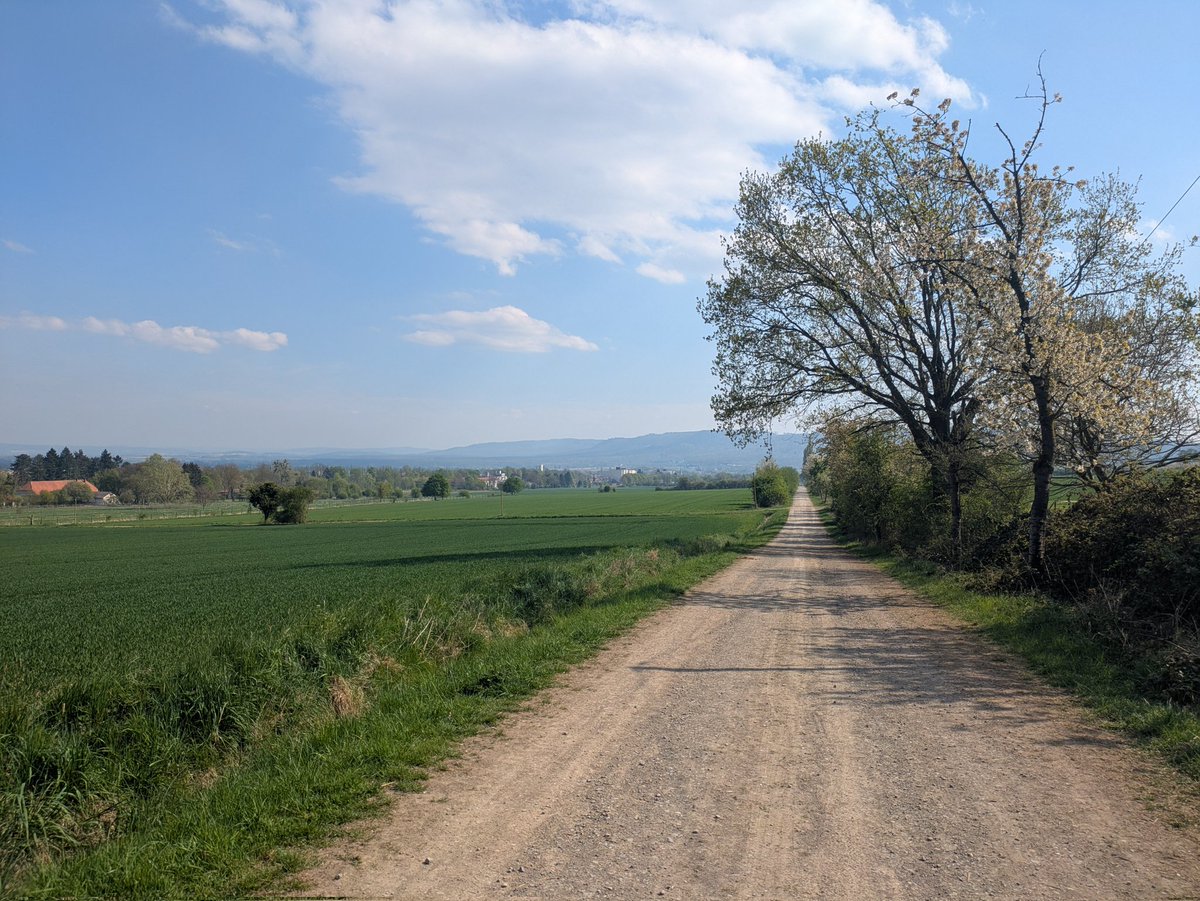 qmarwa_'s tweet photo. #FWMCMORNING Today Easter I went on a hike in Deister, Germany! was a very sunny fresh day :3 https://t.co/kIASqzrKhY