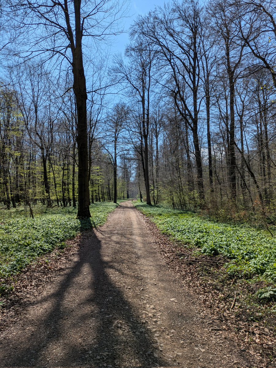 qmarwa_'s tweet photo. #FWMCMORNING Today Easter I went on a hike in Deister, Germany! was a very sunny fresh day :3 https://t.co/kIASqzrKhY