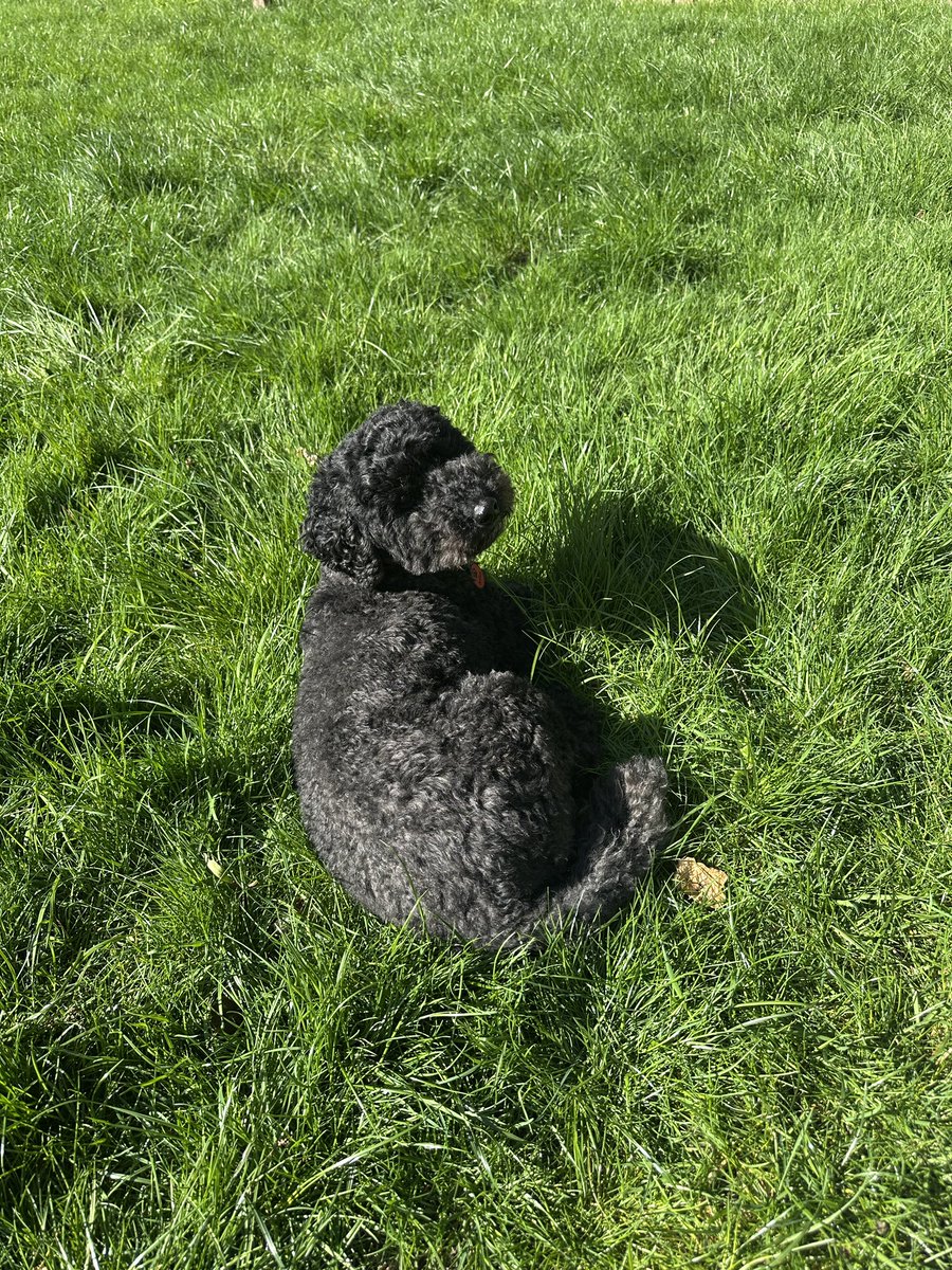 Laura Sutherland tweet media