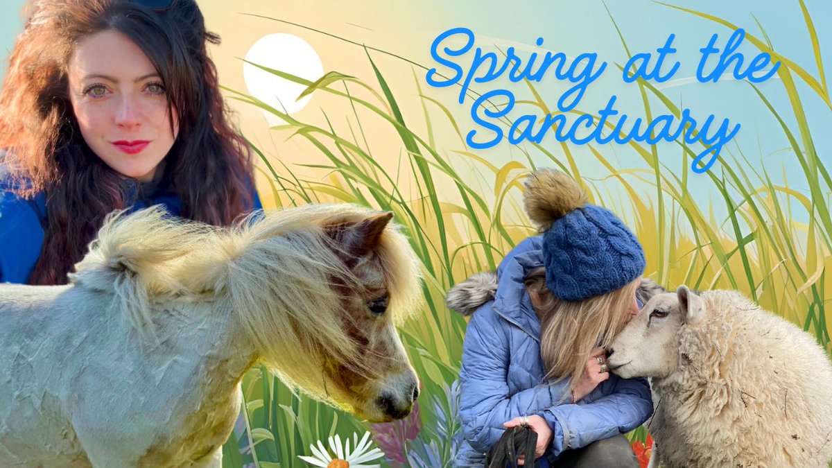NEW YOUTUBE VIDEO

Tourists nearly killed our mini horse! 

Come out on the sanctuary with us to find out about the challenges we’ve faced this springtime &amp; lots more:

youtu.be/gTo7XJJ6t2c?si…

Please share &amp; subscribe if you enjoy, to help our little channel grow! 🌱

#MHHSBD
