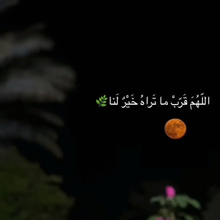 fjn2c's tweet photo. #صورة_ملف_شخصي_جديدة https://t.co/Ez20QnZpQz