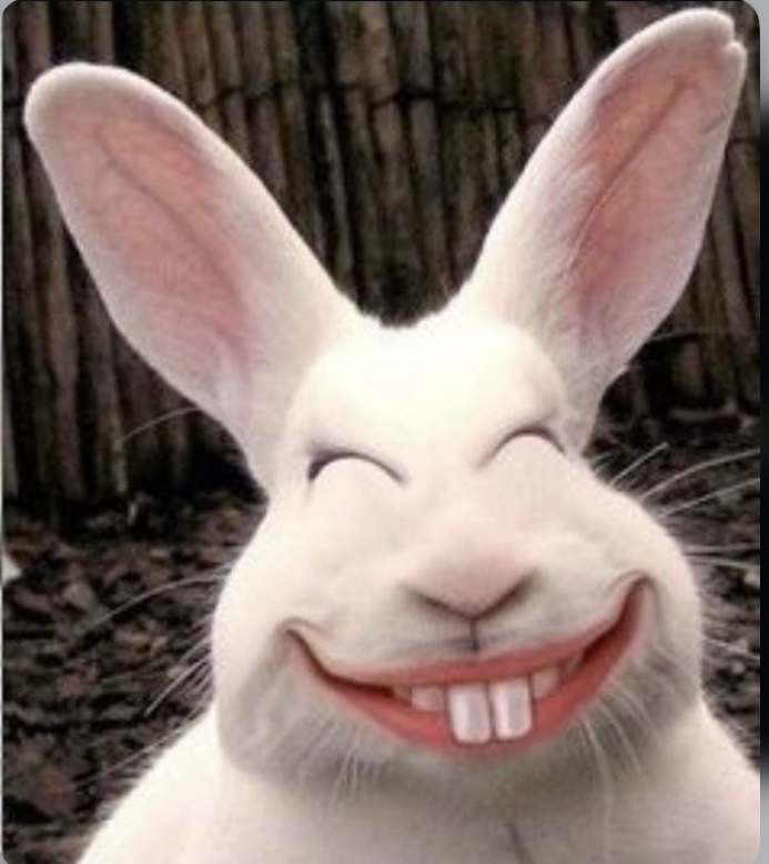 Sandy60476899's tweet photo. Happy Easter https://t.co/XXHpojTCgd