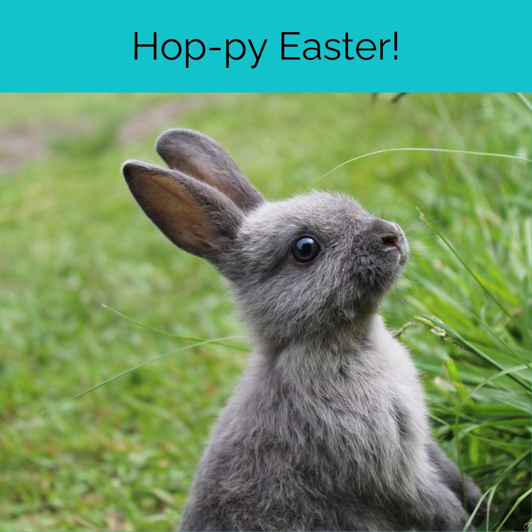 i3mediasolution's tweet photo. Happy Easter! See how you hopped online today? Your ideal clients will be doing that, too! Don't forget to wish them a hop-py day!

#i3MediaSolutions #Tucson #TucsonMarketing #Marketing #DigitalMarketing #Easter https://t.co/8E7f83QcrF