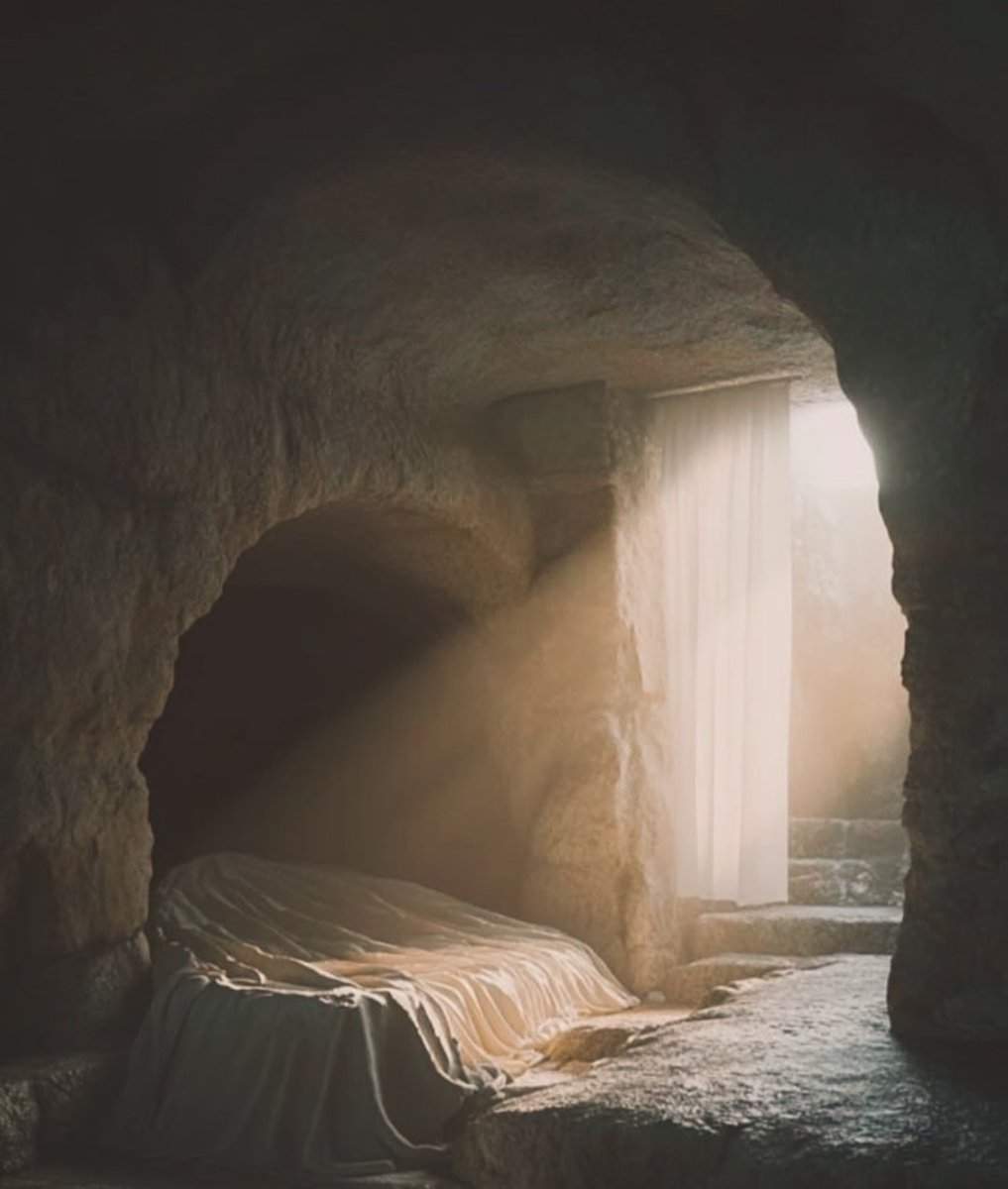 Osvaldo Carnival tweet media