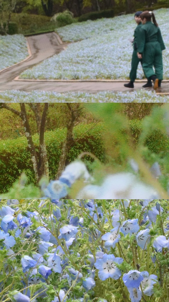 c0s_zero's tweet photo. ⚠︎超超超幻覚6は/頭巾無し⚠︎

 ─── お前と一緒なら ───

#何も無い写真館  
#RKRNコスプレ https://t.co/MbMuQXxCWW