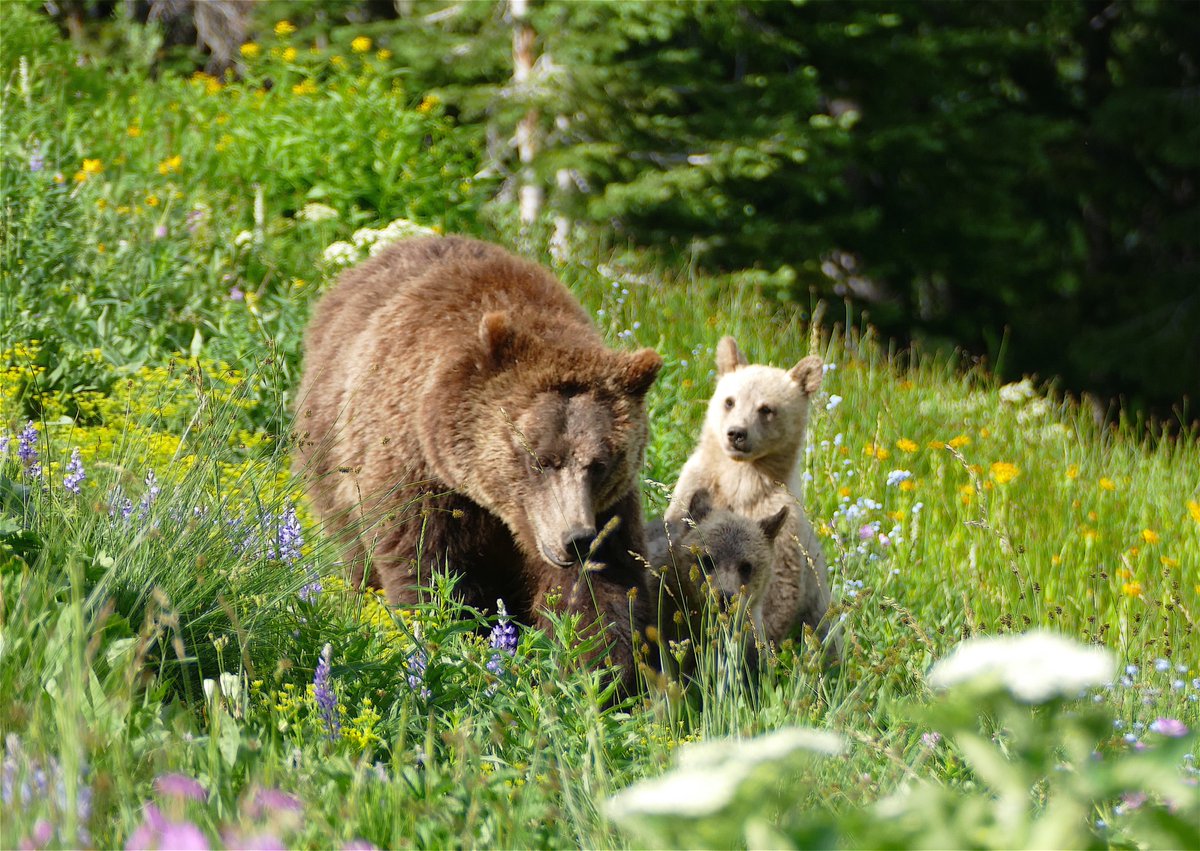 B lue S Ky is censorship free and easy. 
Our following is booming over there and we'd love to have you come join us.