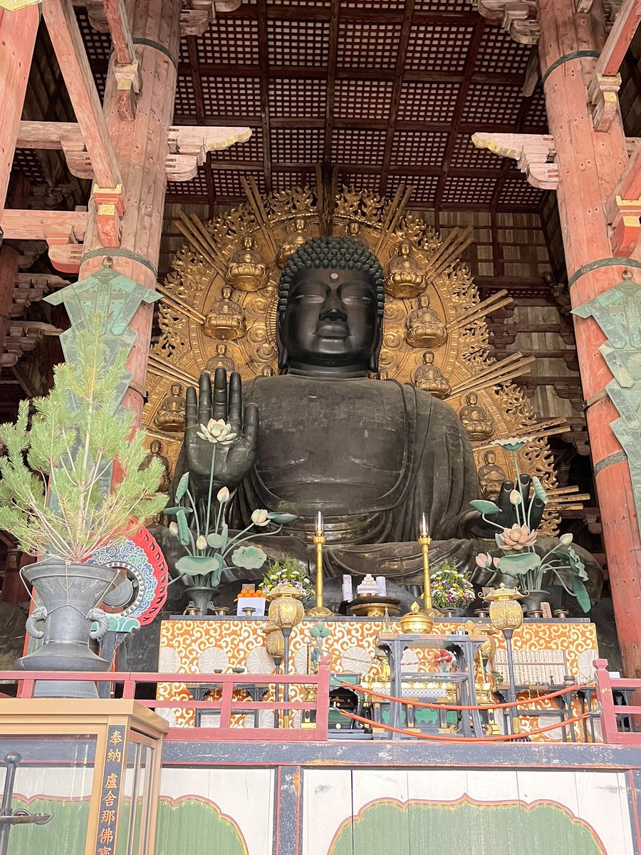 3331cocoa's tweet photo. 5年記念は、春日大社と東大寺。。五重塔は工事中( ºωº )ﾁｰﾝ…それにしても奈良🦌臭い😱 https://t.co/z7Dz0iYQtv