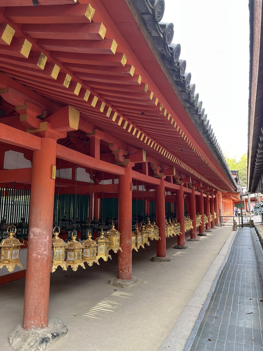 3331cocoa's tweet photo. 5年記念は、春日大社と東大寺。。五重塔は工事中( ºωº )ﾁｰﾝ…それにしても奈良🦌臭い😱 https://t.co/z7Dz0iYQtv