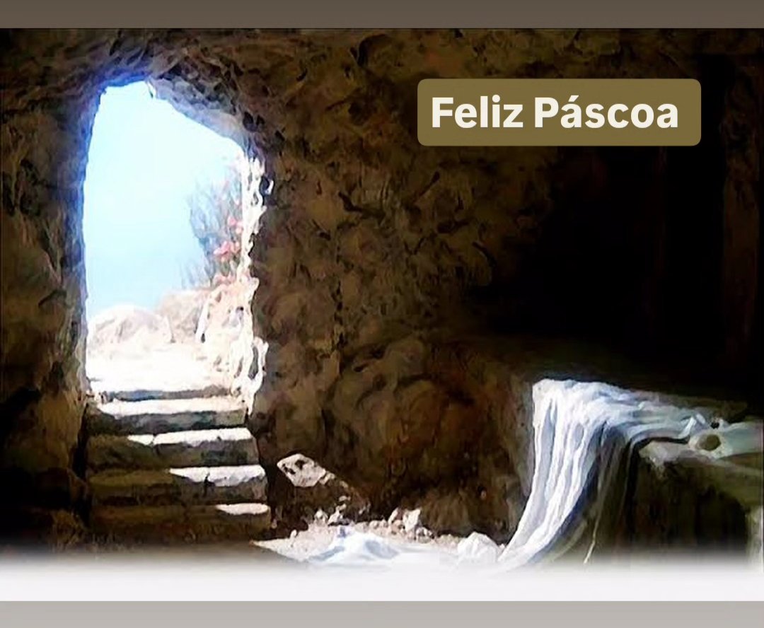 🚨🦤 RESSUSCITOU