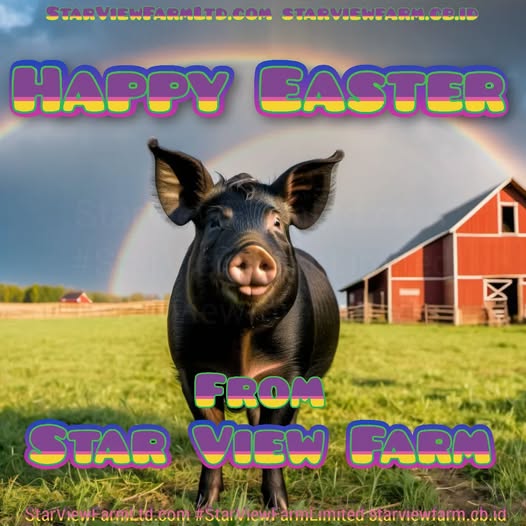 StarViewCrypto's tweet image. Have a safe and happy Easter all.
StarViewFarmLtd.com
starviewfarm.cb.id
#StarViewFarmLimited #StarViewFarmLtd #StarViewFarm #StarViewFarms #StarViewNaturalFoods #ColoradoProud