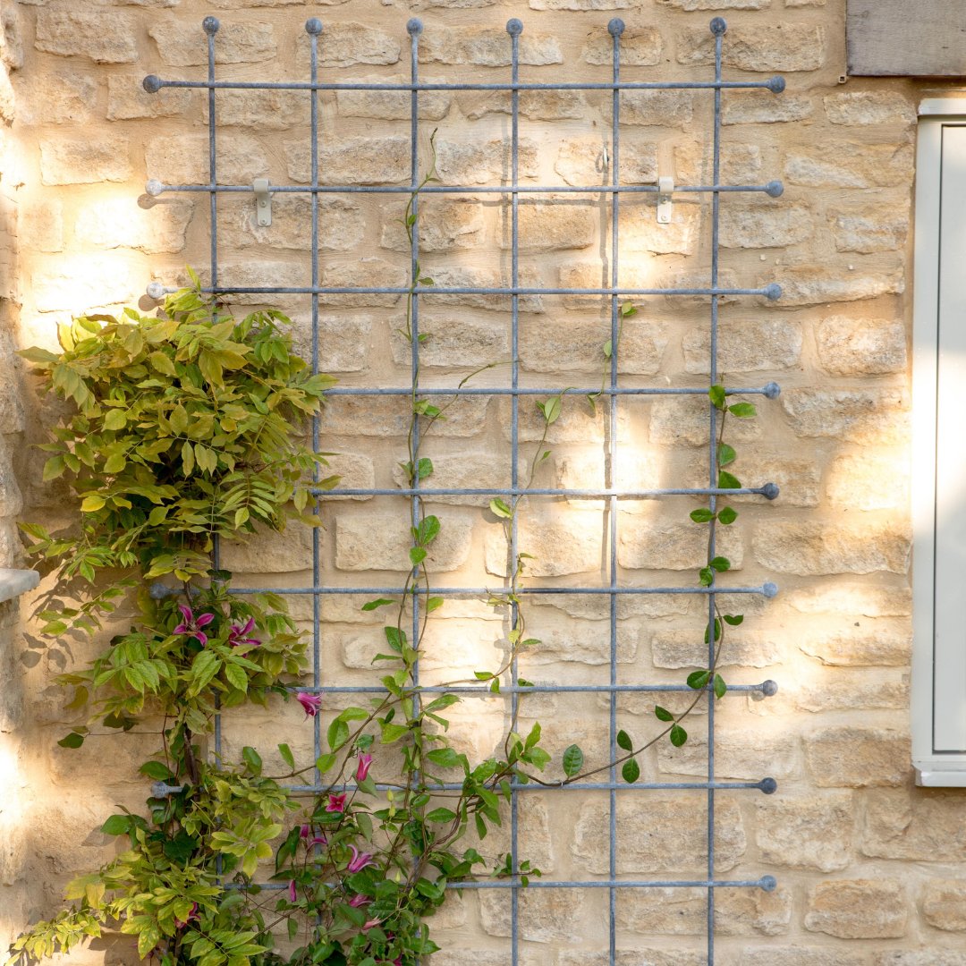 HarrodHort's tweet photo. Bring height, form, and effortless charm to your garden with the Southwold Trellis, Perfect for guiding climbing plants or adding interest to a bare wall 🤩 https://t.co/zPnmT4ODMM