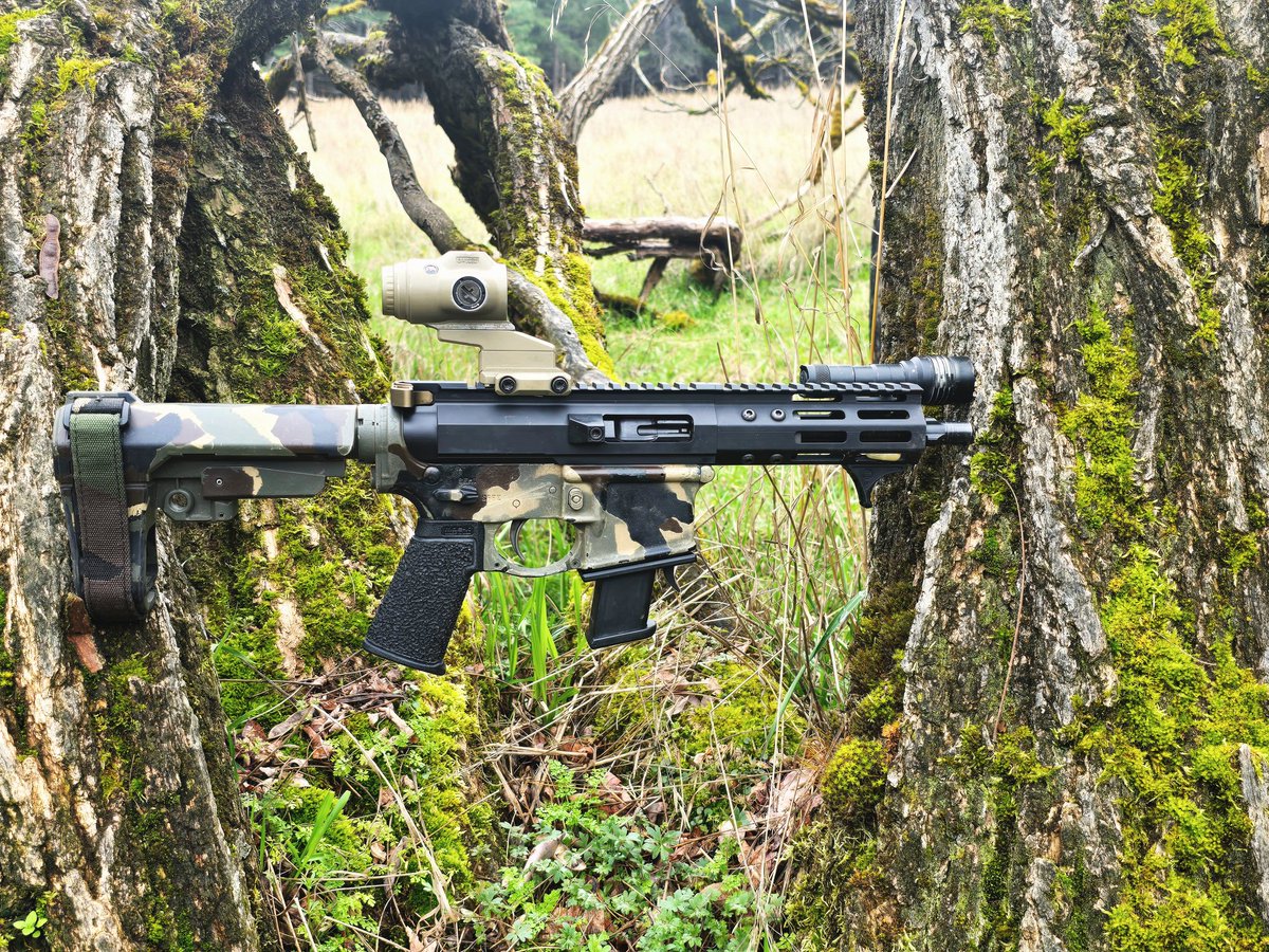 Werewolfmk12's tweet photo. Cool trees and non permissive environments 

#ar15
#ar9
#baggun https://t.co/XNXrRkCeSH