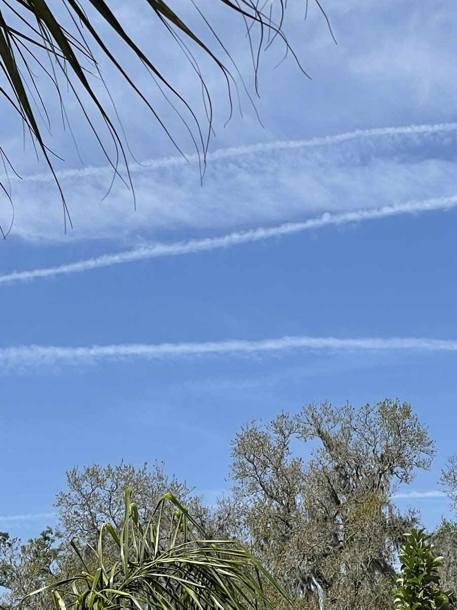 Lisa22flaCooper's tweet photo. @SuePearFL They are laying them thick today. https://t.co/2HAbhINieJ