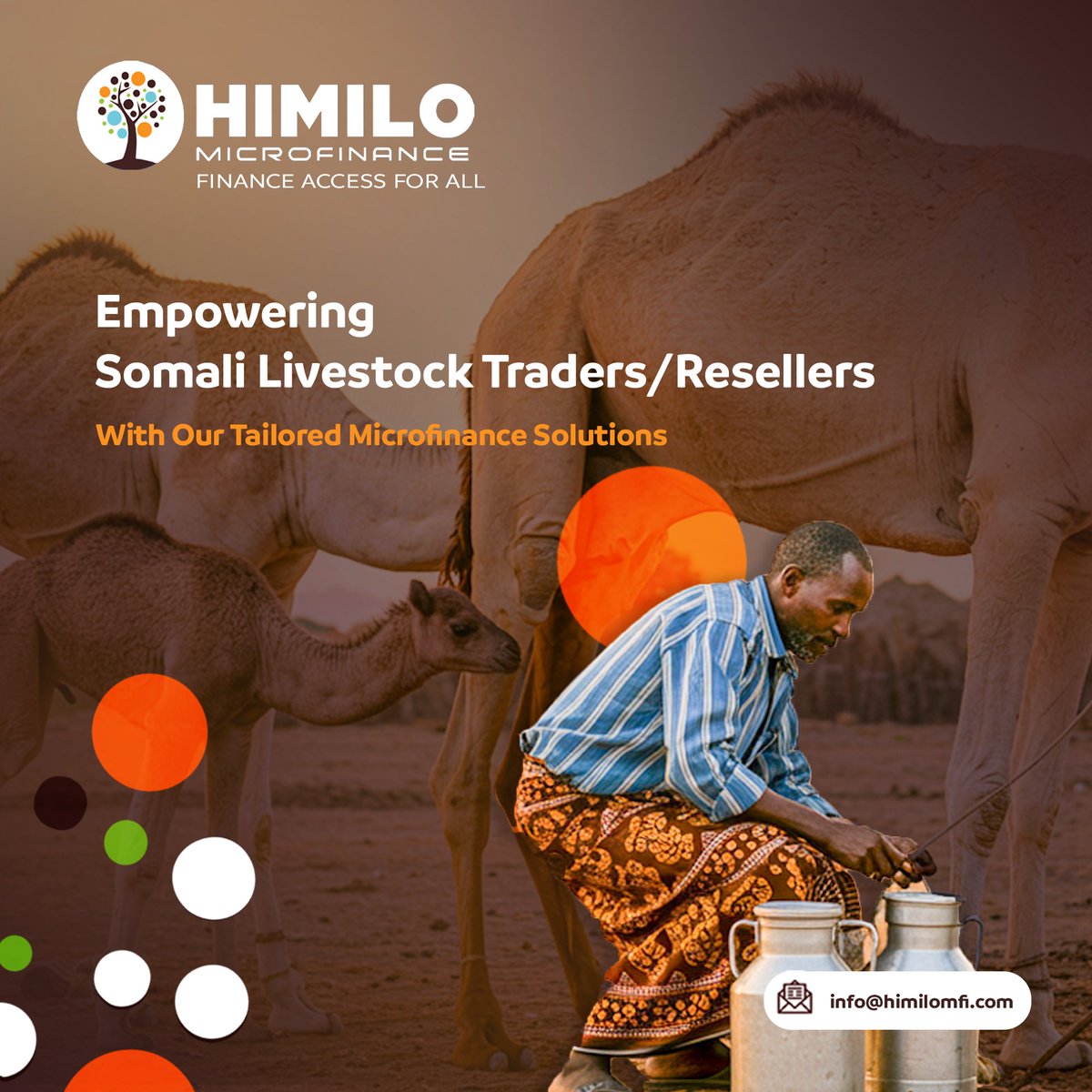 HimiloMFI's tweet photo. We provide Livestock Financing Loans
to enable the livestock traders/resellers to :

✅ Expand into new markets
✅ Boost profitability
✅ Strengthen local value chains

#Somalia  #YouthEmpowerment #LivestockTrading #SomaliLivestock #SustainableDevelopment https://t.co/qzgqiuHfx6