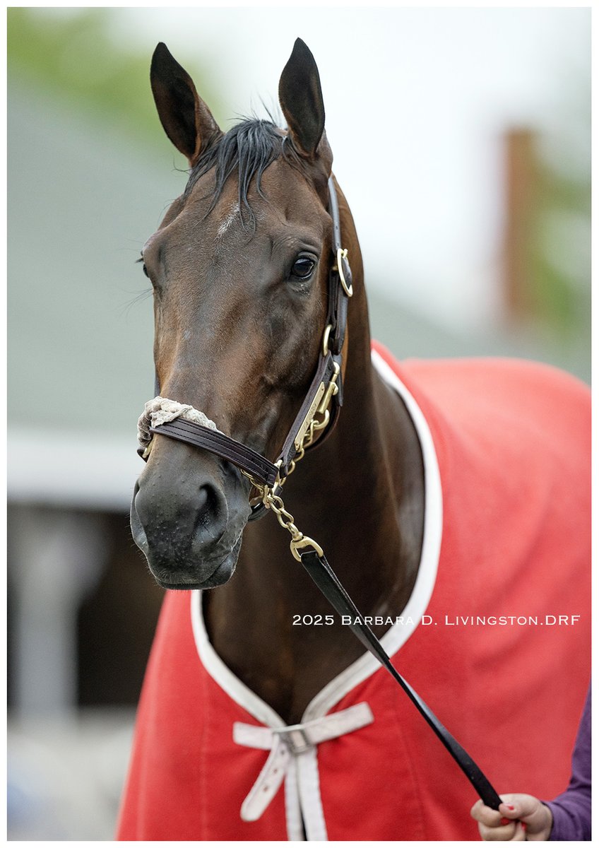 LA CARA (Street Sense) was one of very few Kentucky Oaks/Derby horses on-track at Churchill this AM.

The lovely filly has won 2 of 3 starts this year (4 of 9 overall) for trainer Mark Casse. Her most recent start was a win in the Grade 1 Ashland on April 7.

#KentuckyOaks