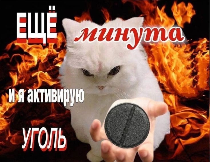 DefoltSkat's tweet photo. @bitchywiitch https://t.co/hyzsRa9ntK