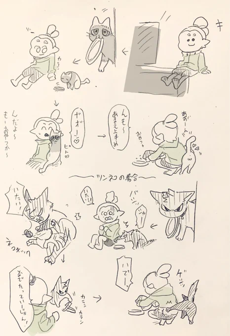 猫ツンと野良猫リノの違い 