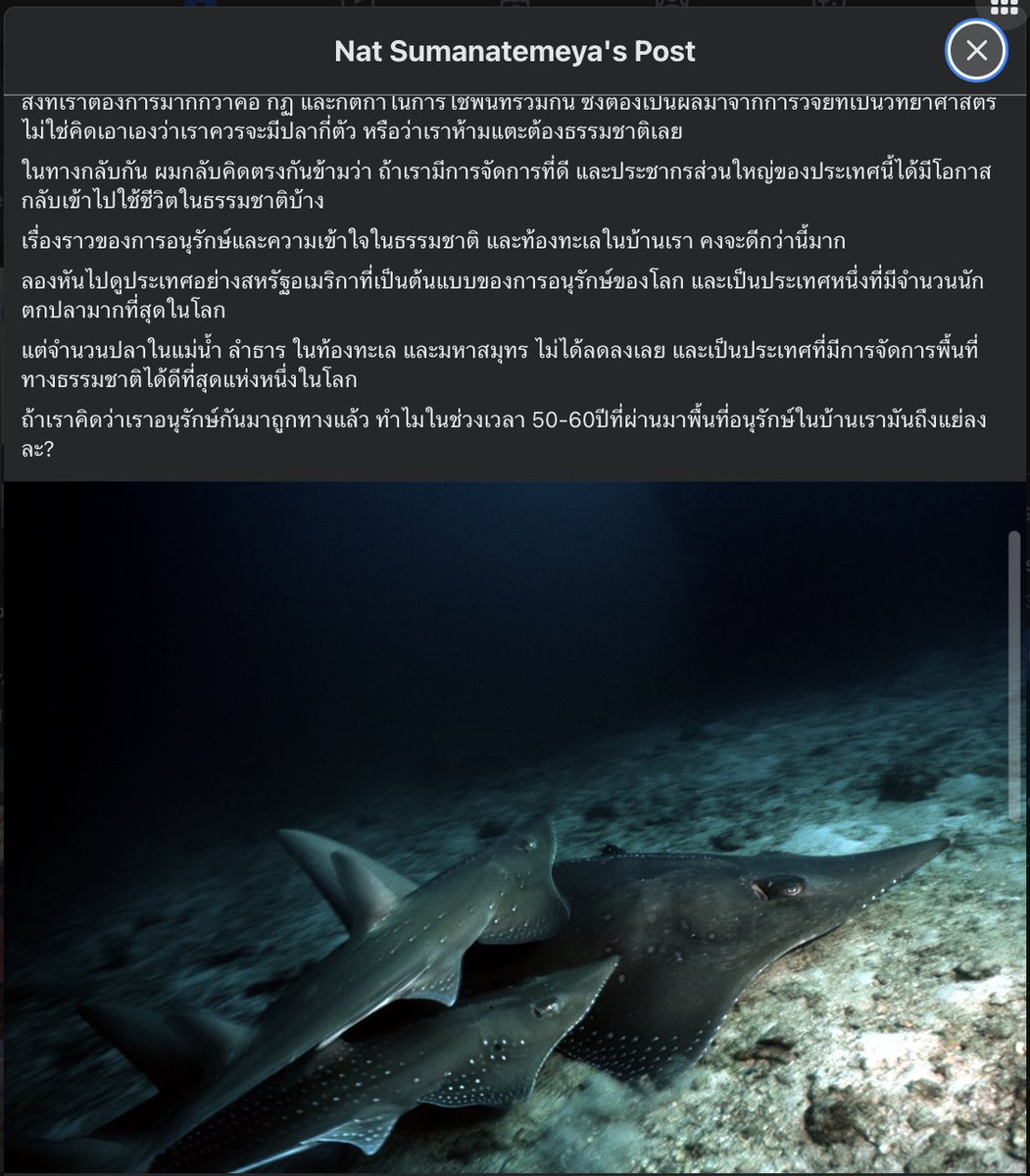 selfcircled's tweet image. ที่จริงก็มีโพสต์ออกมาเรื่อยๆ นะคะ แต่ก็นั่นแหละพอไม่ใช่ดราม่า แซะบุคคลในประเด็นร้อนกันก็ไม่ค่อยจะมีคนสนใจ 😅 อันนี้คือสิ่งที่เกิดขึ้นกับคอนเท้นต์ด้านอนุรักษ์ในเวลาปกติ โดยเฉพาะเมื่อเนื้อหามันไม่ได้ถ่ายเทข้ามแพลตฟอร์มกันด้วย (ลิ้งก์ในเมนชั่นด้านล่างนะคะ)