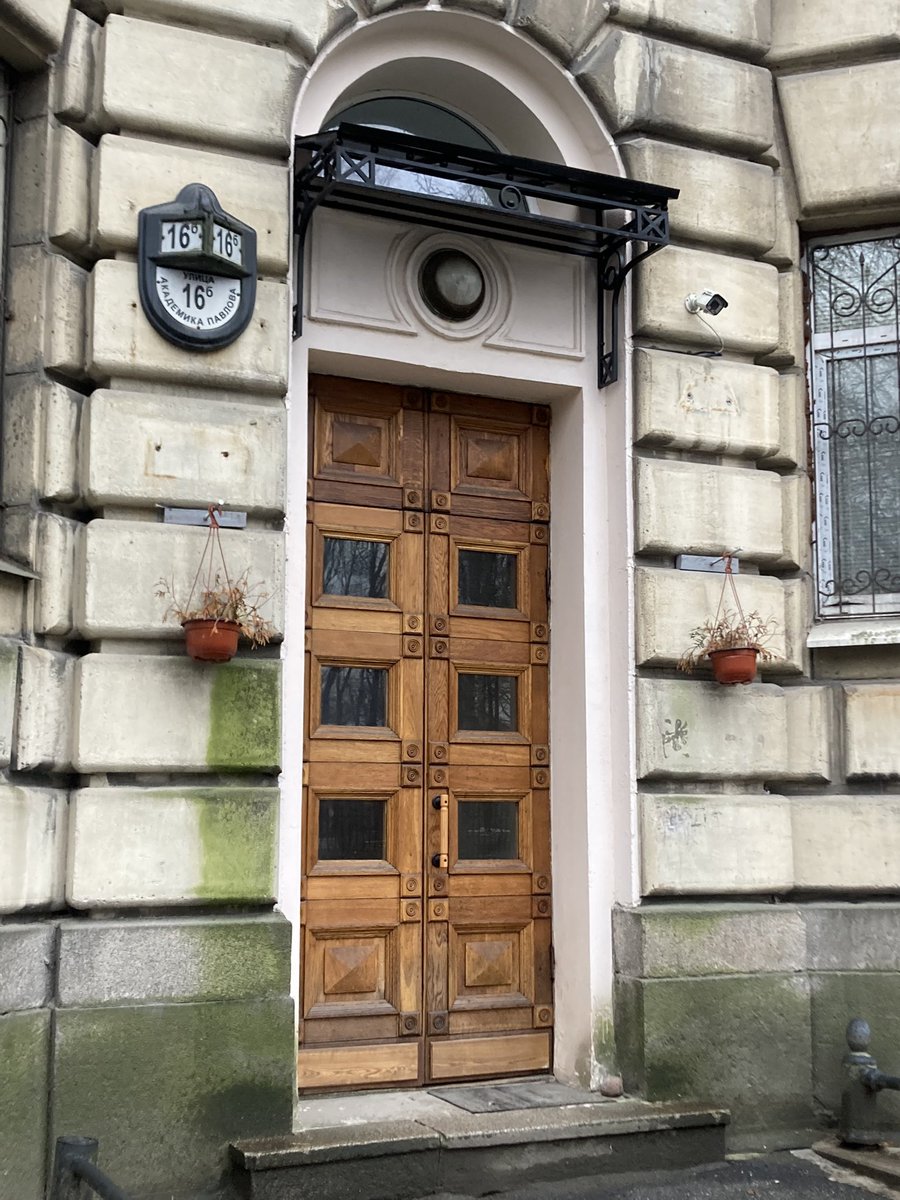 новые очки для зрения и любимая петроградочка