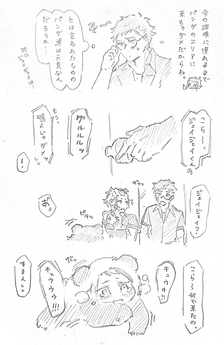 どうして 🐼トレジェイ 