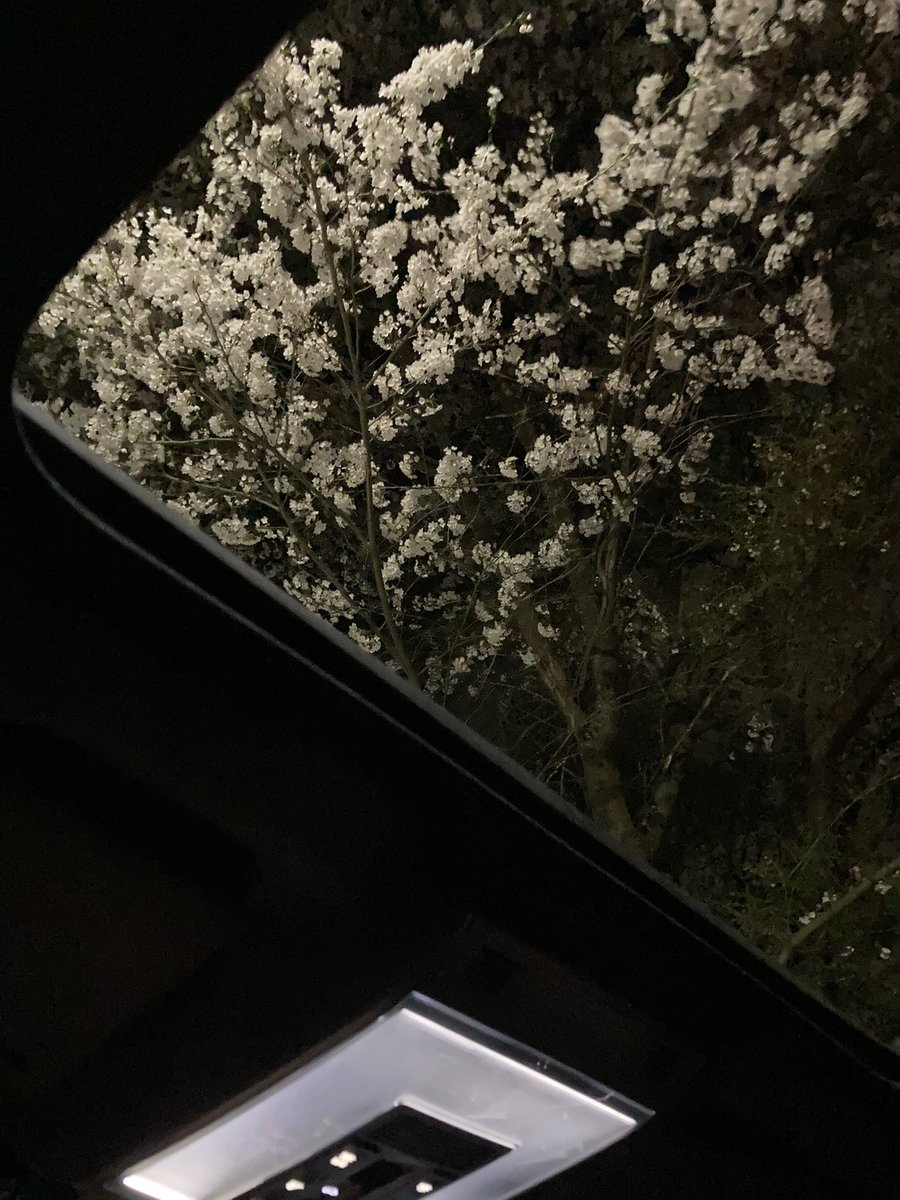aaaaarrrrrr01's tweet photo. 𝒔𝒖𝒏𝒓𝒐𝒐𝒇のエモさ https://t.co/kNyJMp6Qq9