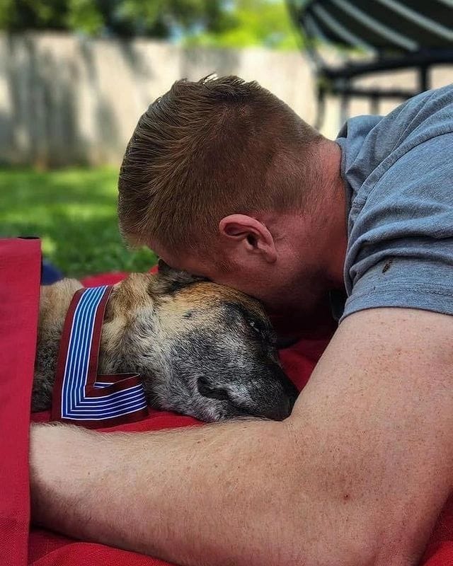 𝕏 Dogs tweet media