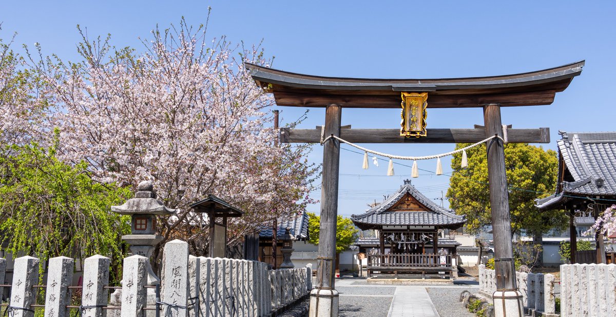 _harmoid_'s tweet photo. 四月京都
4月の京都
Kyoto in April
#cherryblossom https://t.co/myf33hLd1Y
