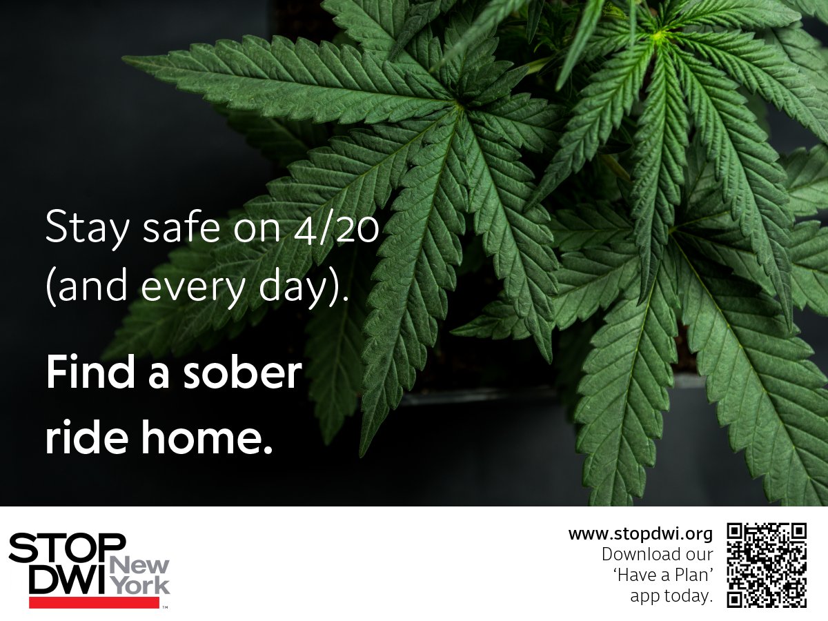BuffaloBisons's tweet photo. If you're out celebrating this weekend, please make sure you Have a Plan to get home safely.      

Download the Have A Plan Mobile App at https://t.co/hB1YYWEGkA to make your plan today!      

#StopDWI | @STOPDWINewYork https://t.co/0j59dW443b