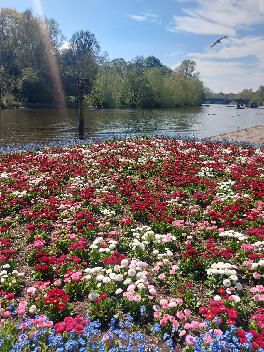 PerffaithSimmer's tweet image. What beautiful weather we have on this Easter Sunday 🥰