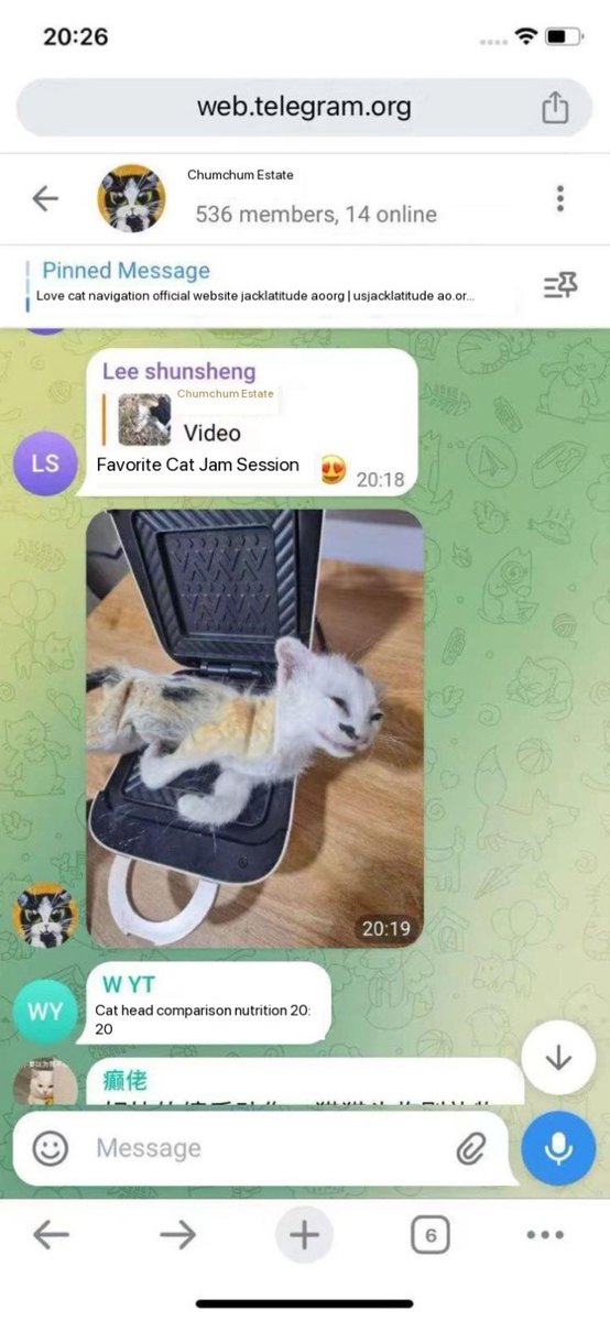 NALJR4DNmels's tweet photo. @nexta_tv Too busy showing off his bod to give a sh*t that sadists from #China have been using @Telegram to share their videos of cat torture for the last 2+ years. Another narcissistic irresponsible money-hungry slimeball. π€¬#BoycottTelegram #BoycottChina #AnimalCruelty
@felineguardians https://t.co/2Q8vHSalVF