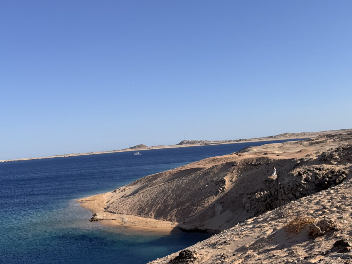 Hany Ragy tweet media