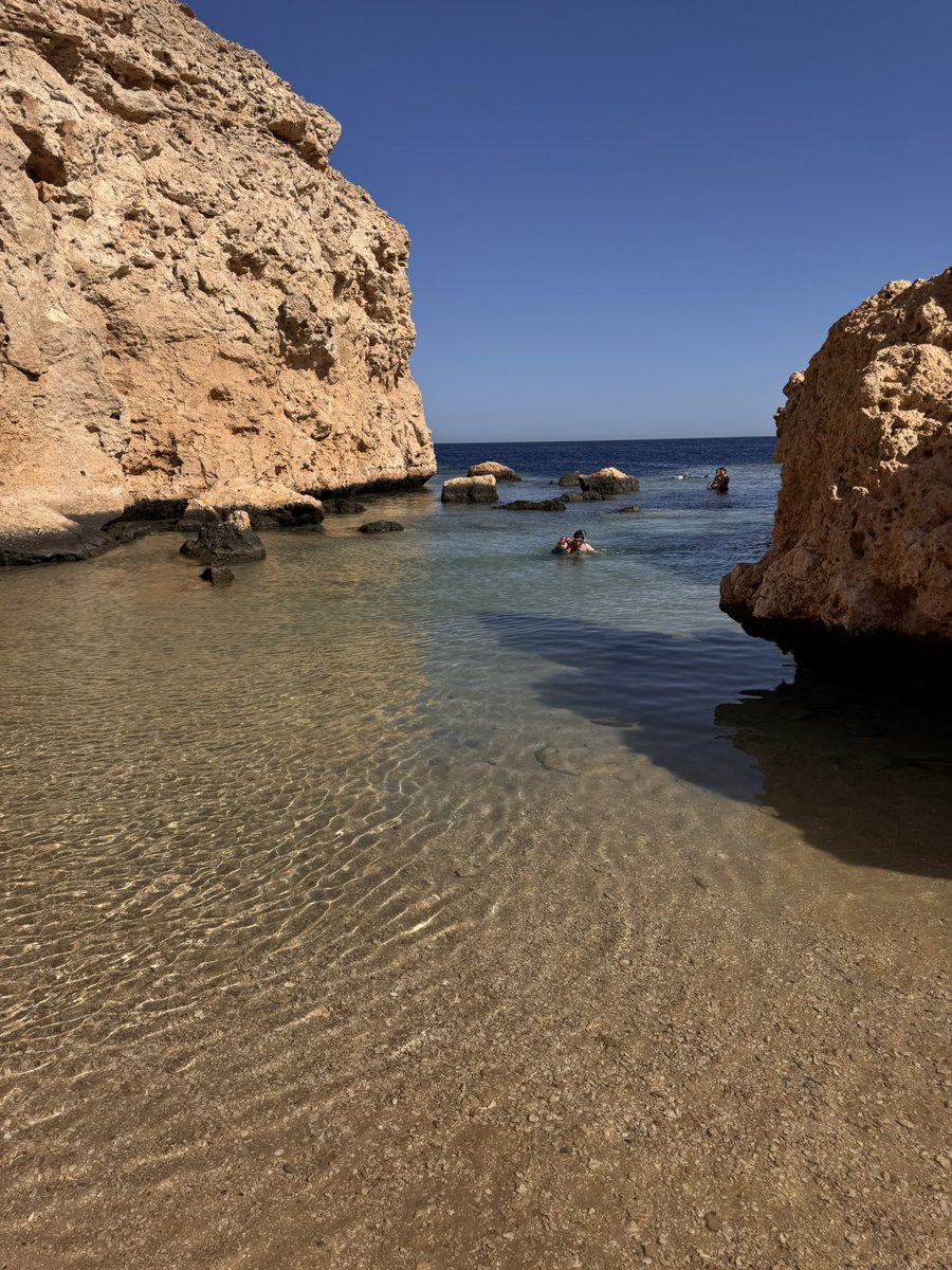 Hany Ragy tweet media