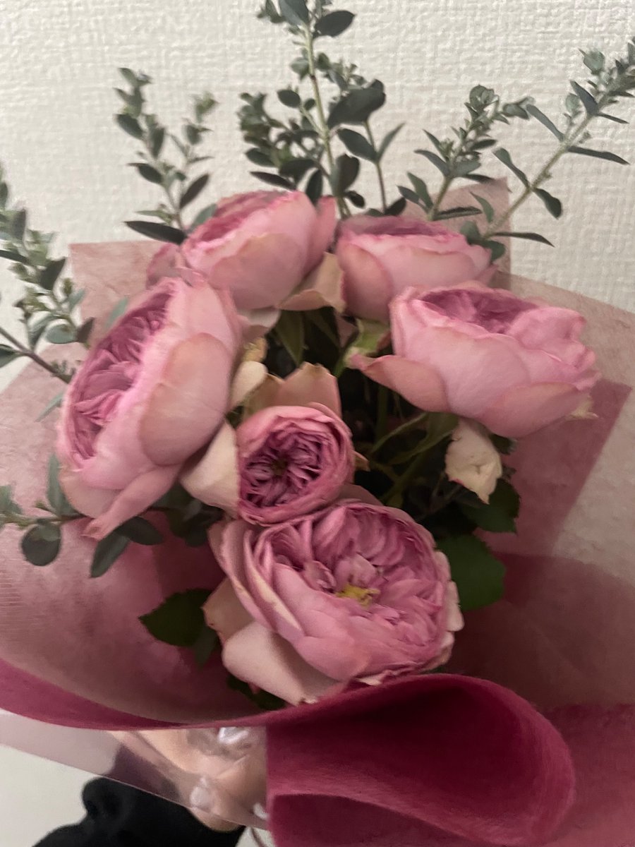 53___yama's tweet photo. なんとかやっています！趣味とか無くなったけどな！ https://t.co/giNkvzMW8b
